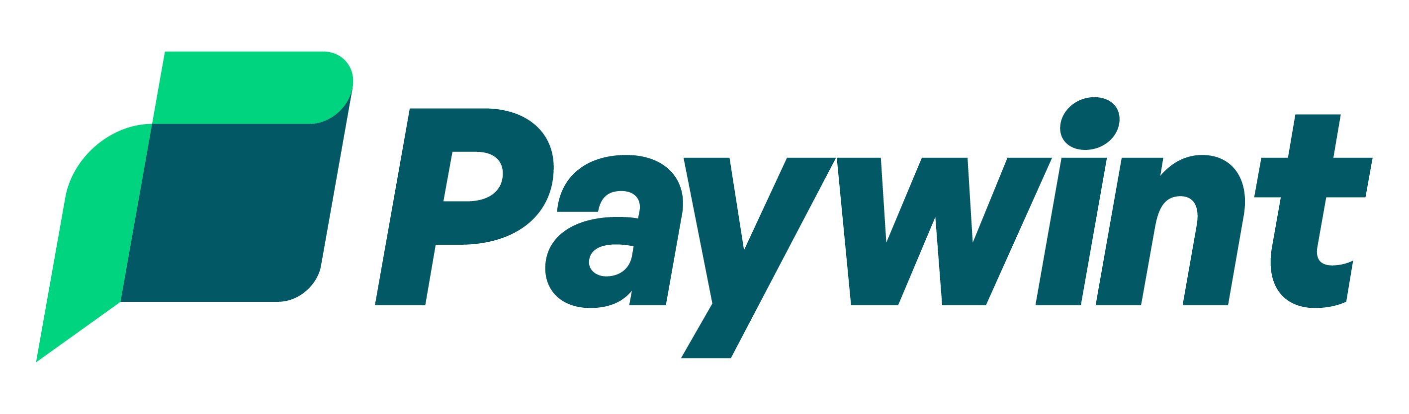 Paywint
